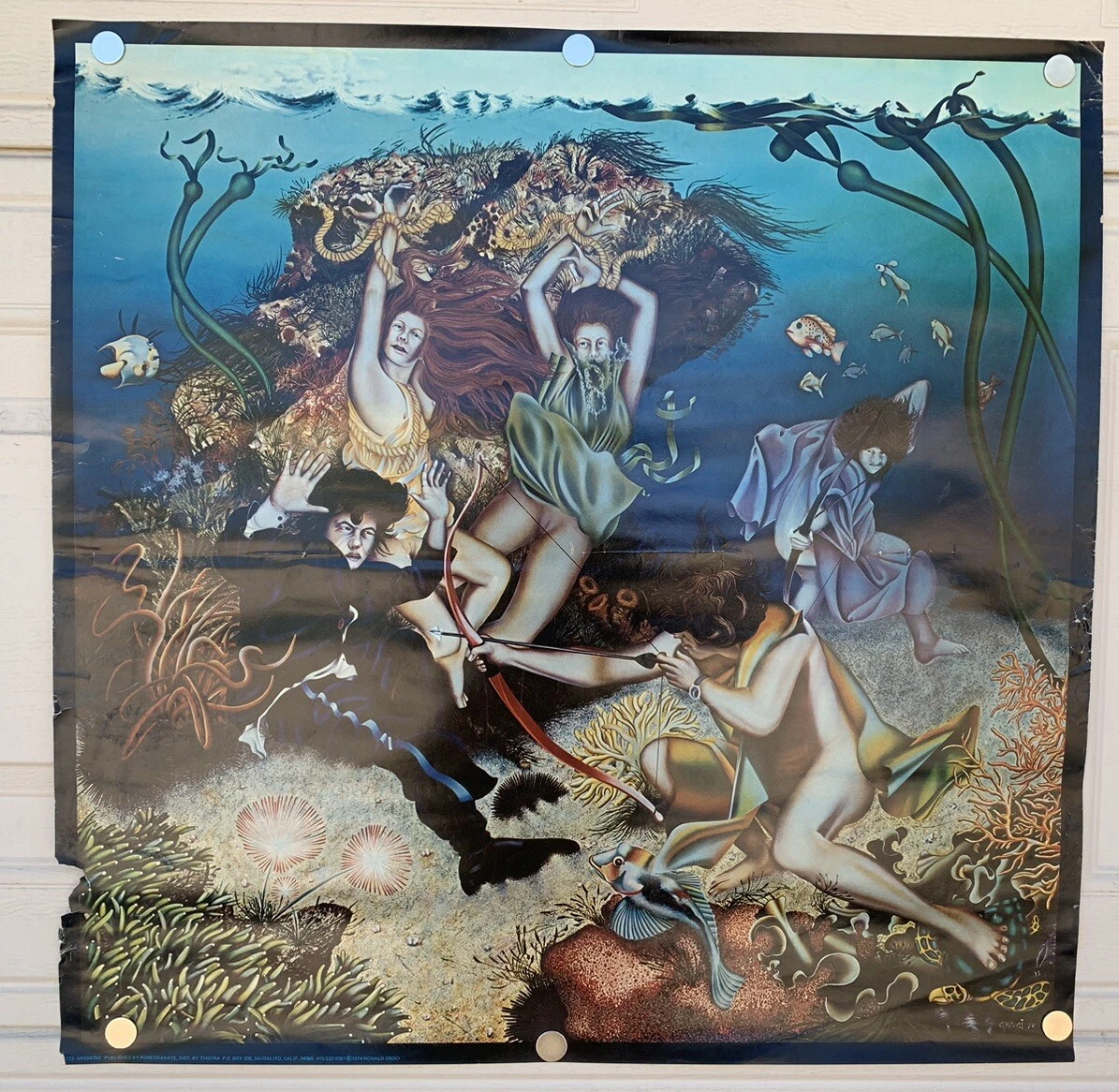 Rob Croci Underwater Bow & Arrows Vintage 1974 ORIGINAL 25