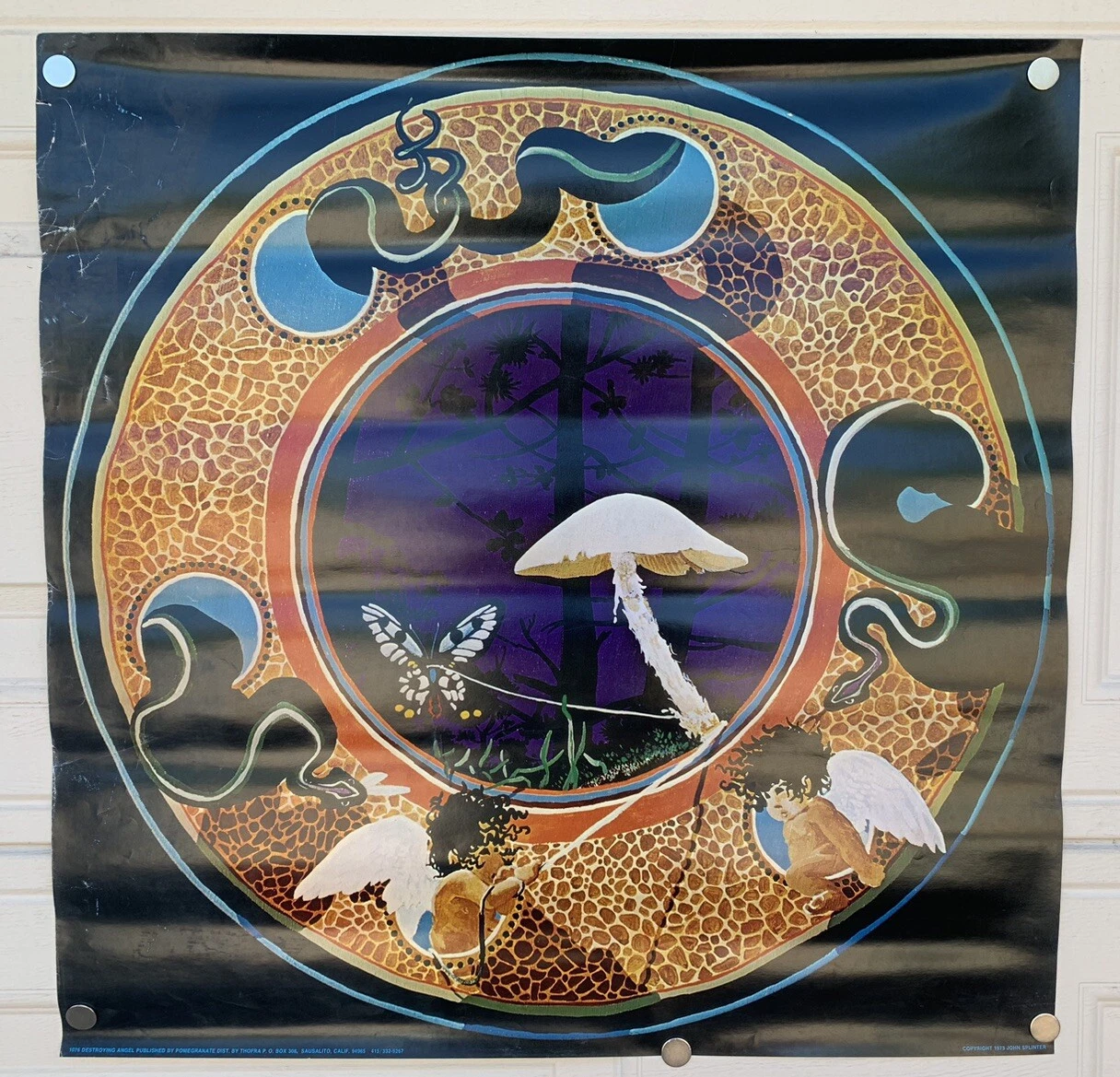 John Splinter Mushrooms Destroying Angel Vintage 1973 25