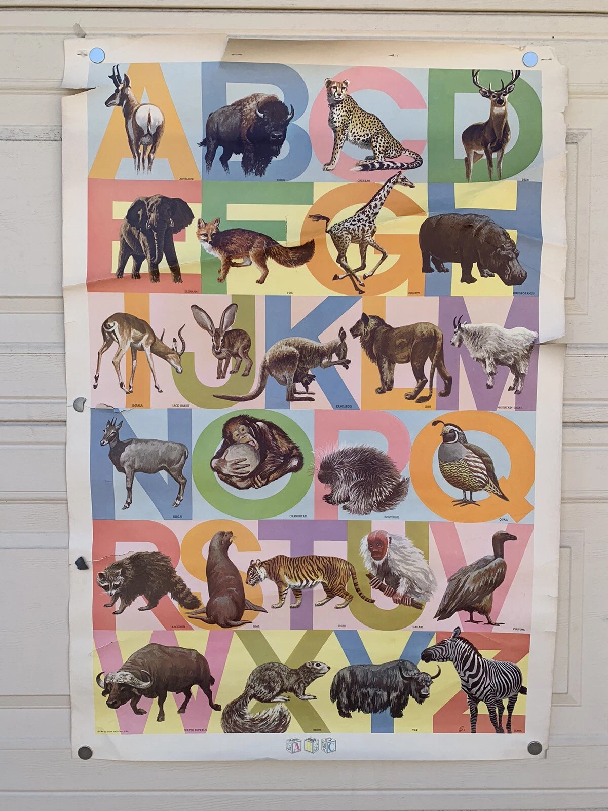 1959 SCHOOLASTIC ANIMALS & ALPHABET GRADE SCHOOL 25.5″ X 37.5″ POSTER #129 COLLECTIBLE MEMORABILIA