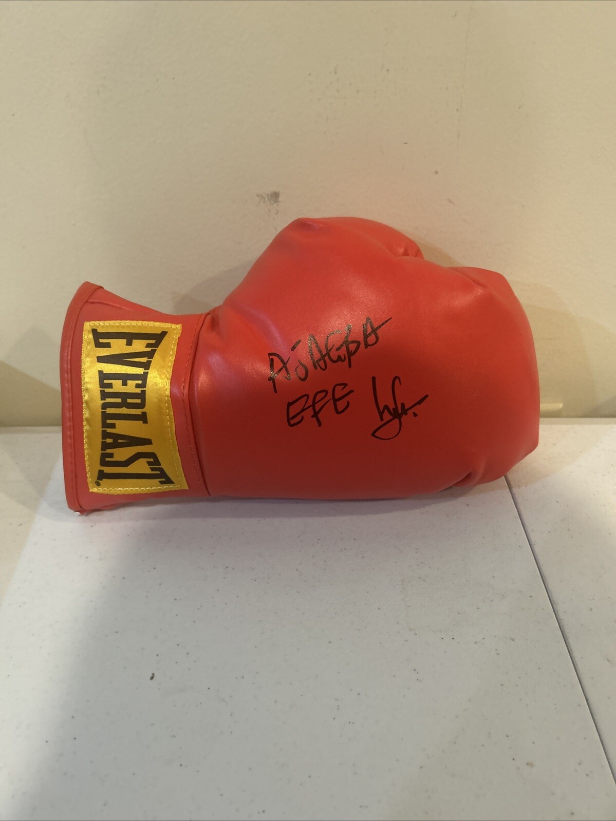 EFE AJAGBA SIGNED AUTOGRAPH EVERLAST BOXING GLOVE COA BOXER CHAMP AFRICA