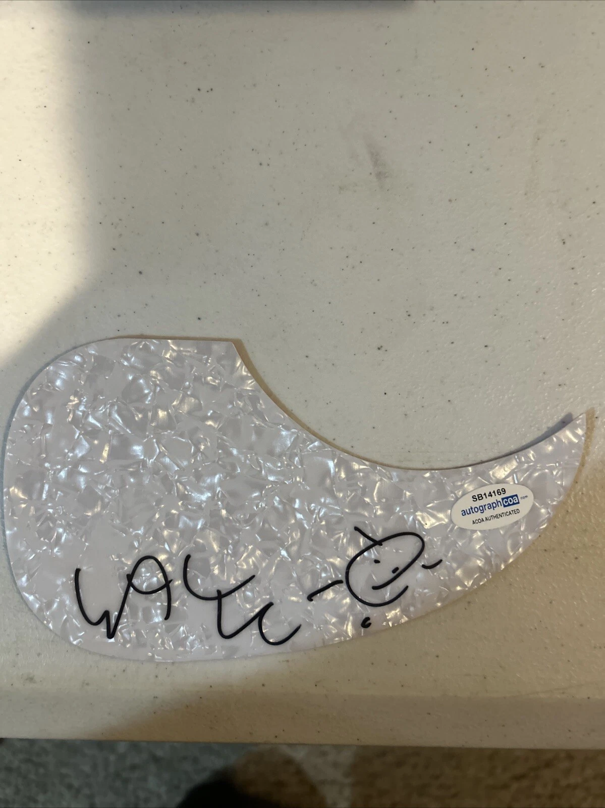 WAYNE COYNE SIGNED AUTOGRAPH ACOUSTIC PICKGUARD ACOA GUITAR FLAMING LIPS