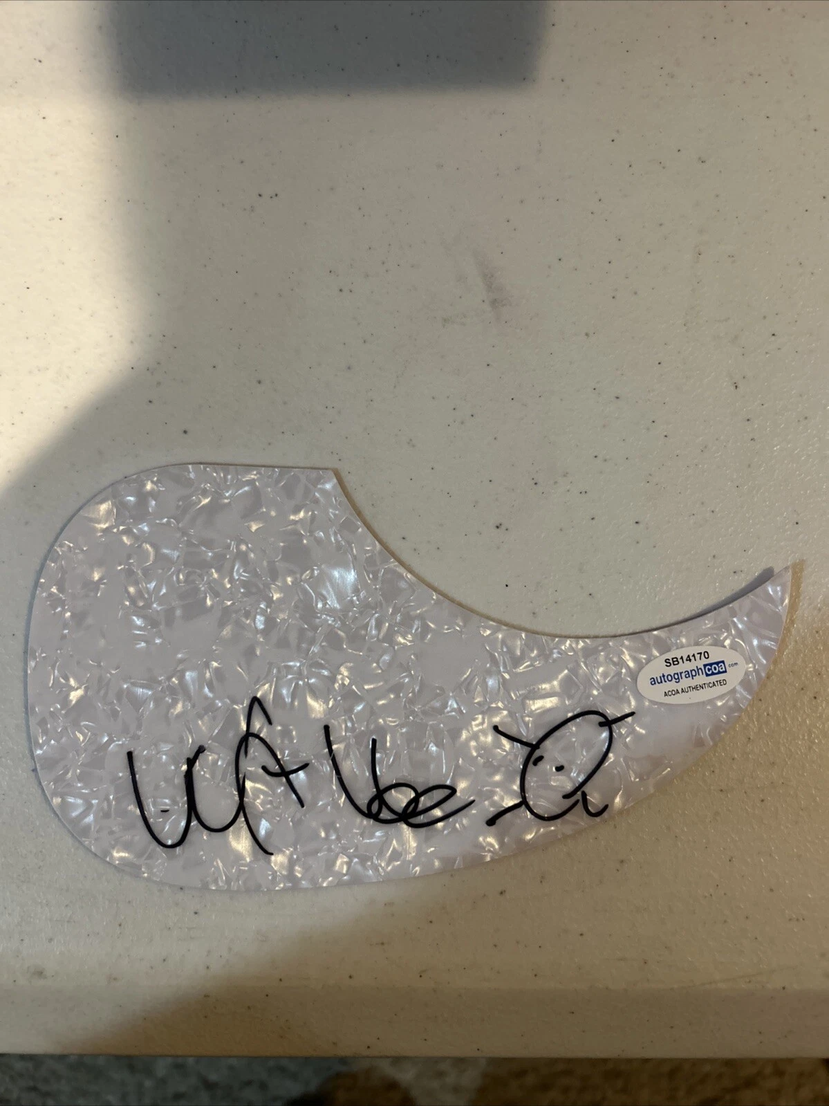 WAYNE COYNE SIGNED AUTOGRAPH ACOUSTIC PICKGUARD ACOA GUITAR FLAMING LIPS