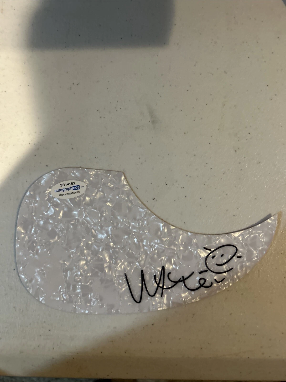 WAYNE COYNE SIGNED AUTOGRAPH ACOUSTIC PICKGUARD ACOA GUITAR FLAMING LIPS