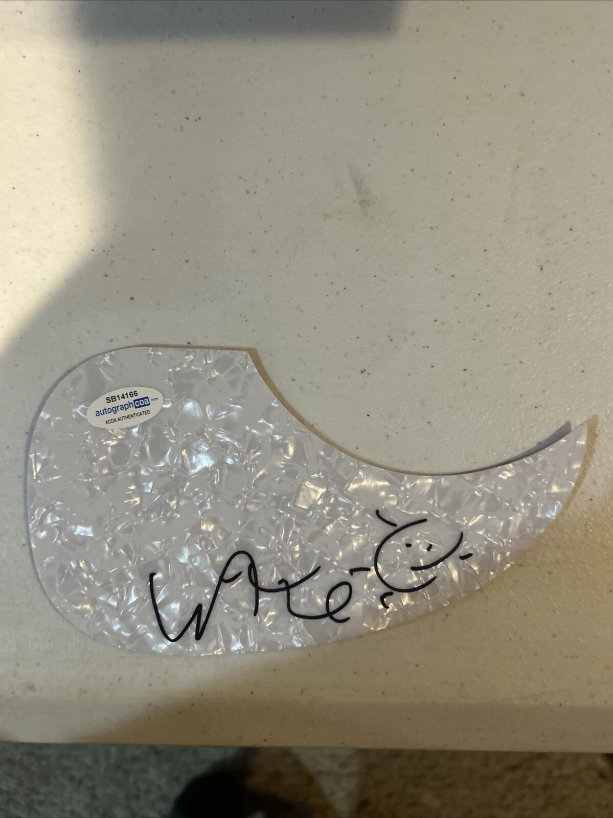 WAYNE COYNE SIGNED AUTOGRAPH ACOUSTIC PICKGUARD ACOA GUITAR FLAMING LIPS