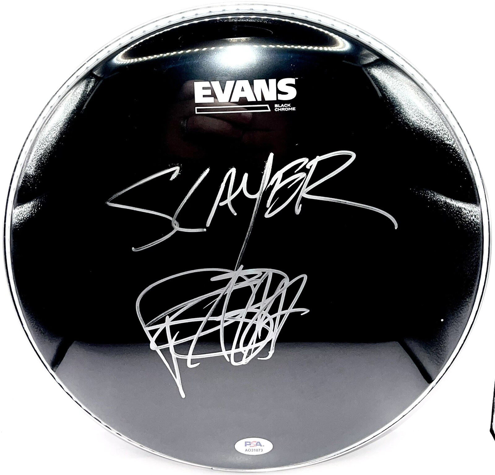 Paul Bostaph Signed Autographed Slayer 12” Inch Drumhead PSA/DNA Coa