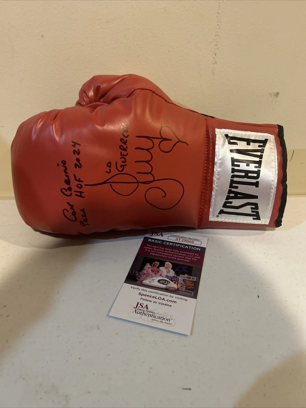 ANA MARIA TORRES SIGNED AUTOGRAPH EVERLAST BOXING GLOVE JSA COA HOF CHAMP