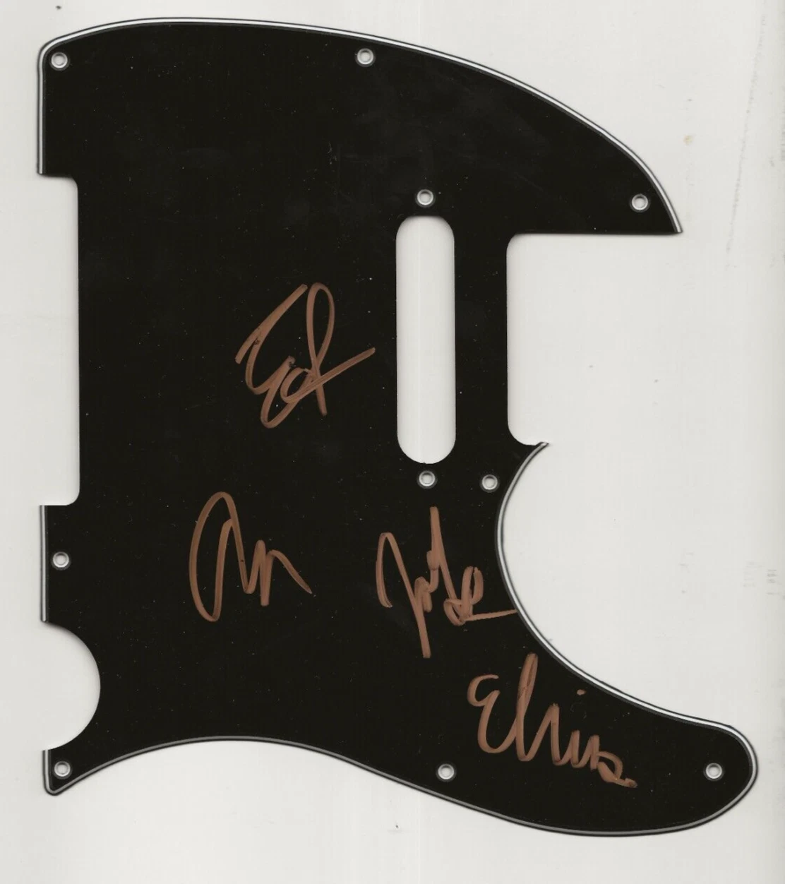 Wolf Alice REAL hand SIGNED Guitar Pickguard COA Autographed