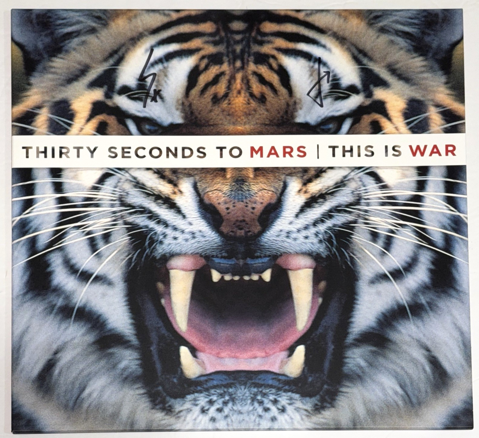 Thirty Seconds To Mars Signed This Is War Vinyl Album LP Jared Leto Beckett COA