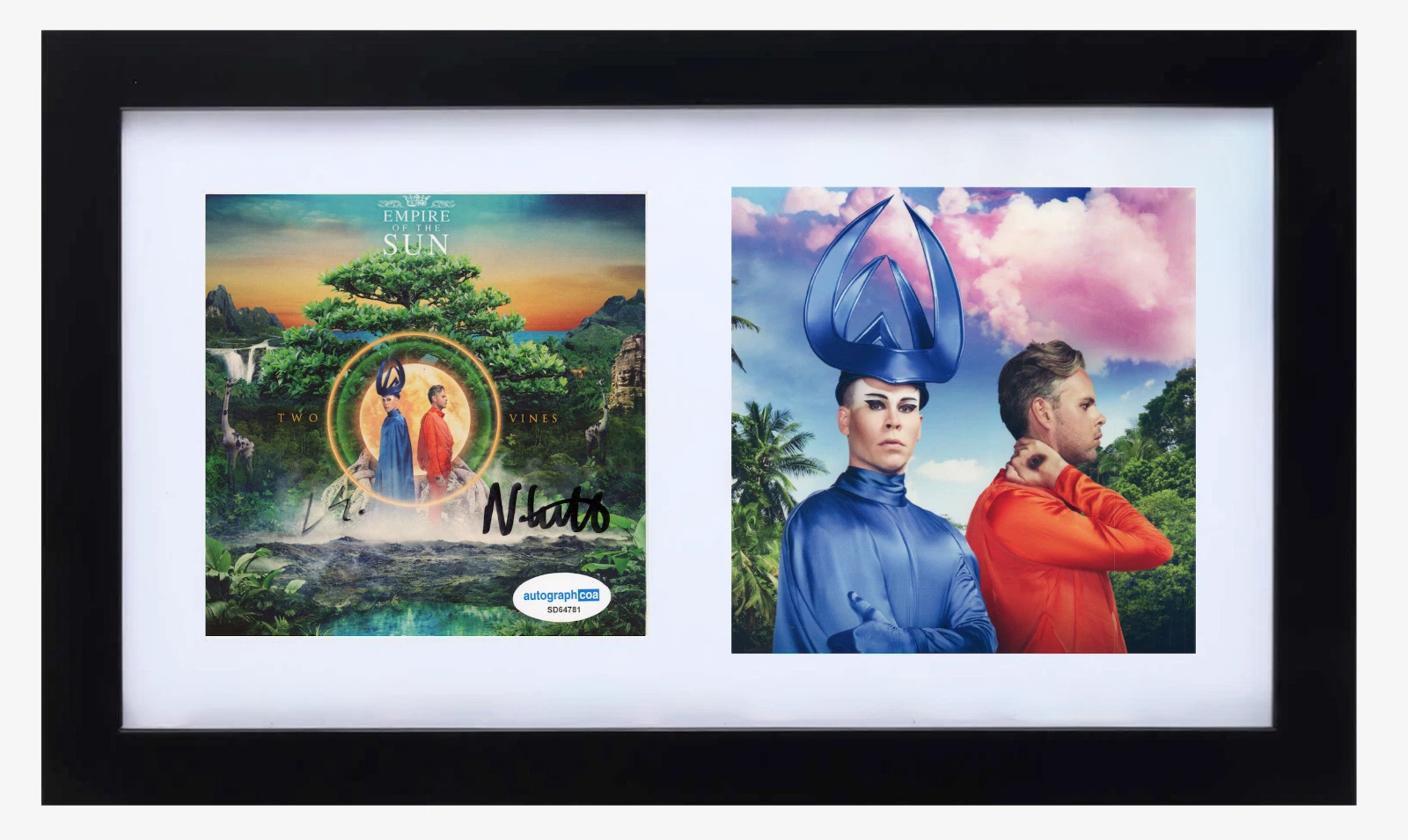 Empire of the Sun Signed Autograph Two Vines CD Cover Framed Luke Steele +1 ACOA