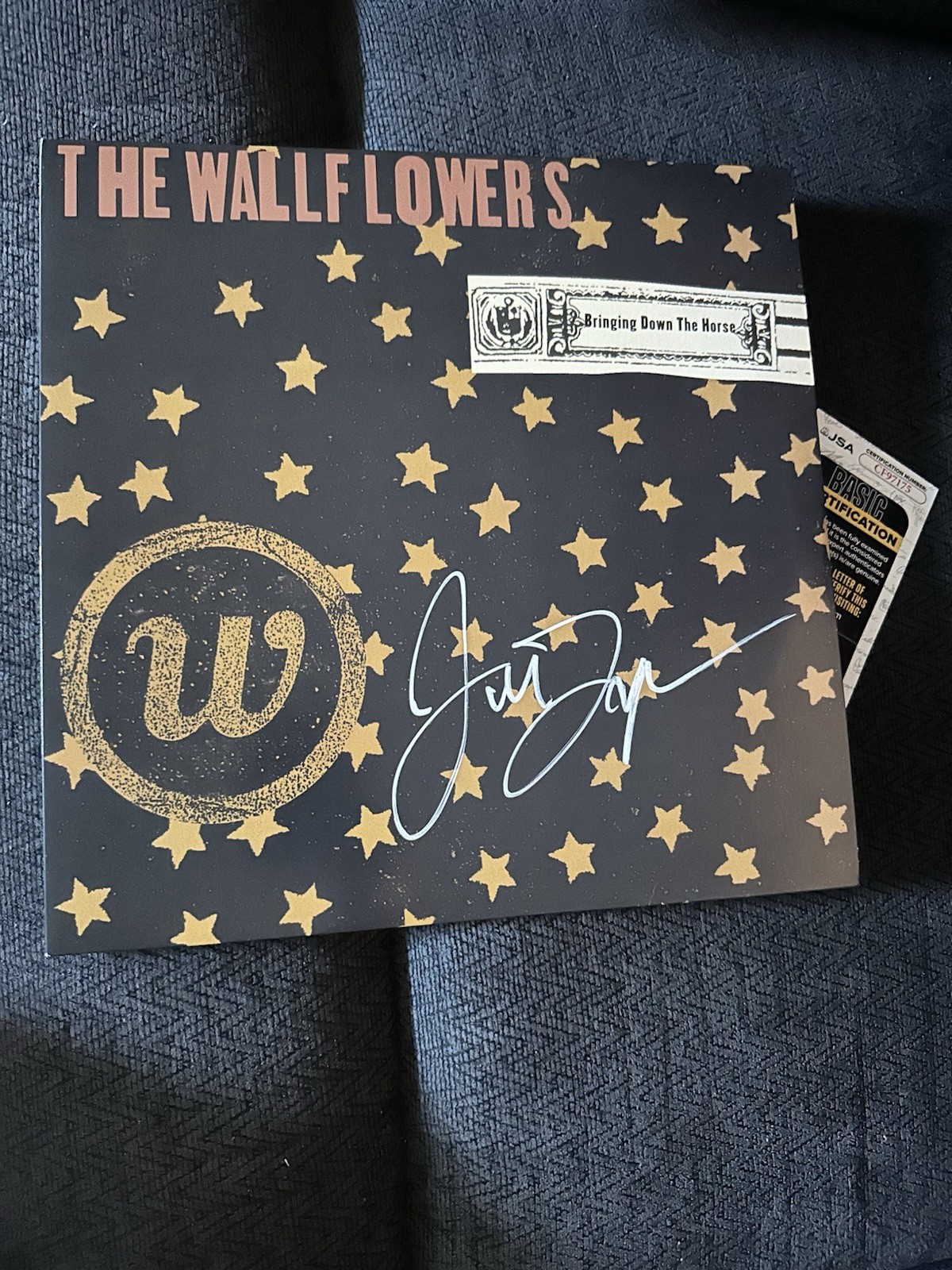 Jakob Dylan SIGNED Vinyl ALBUM JSA Authenticated COA Bringing Down The Horse '96