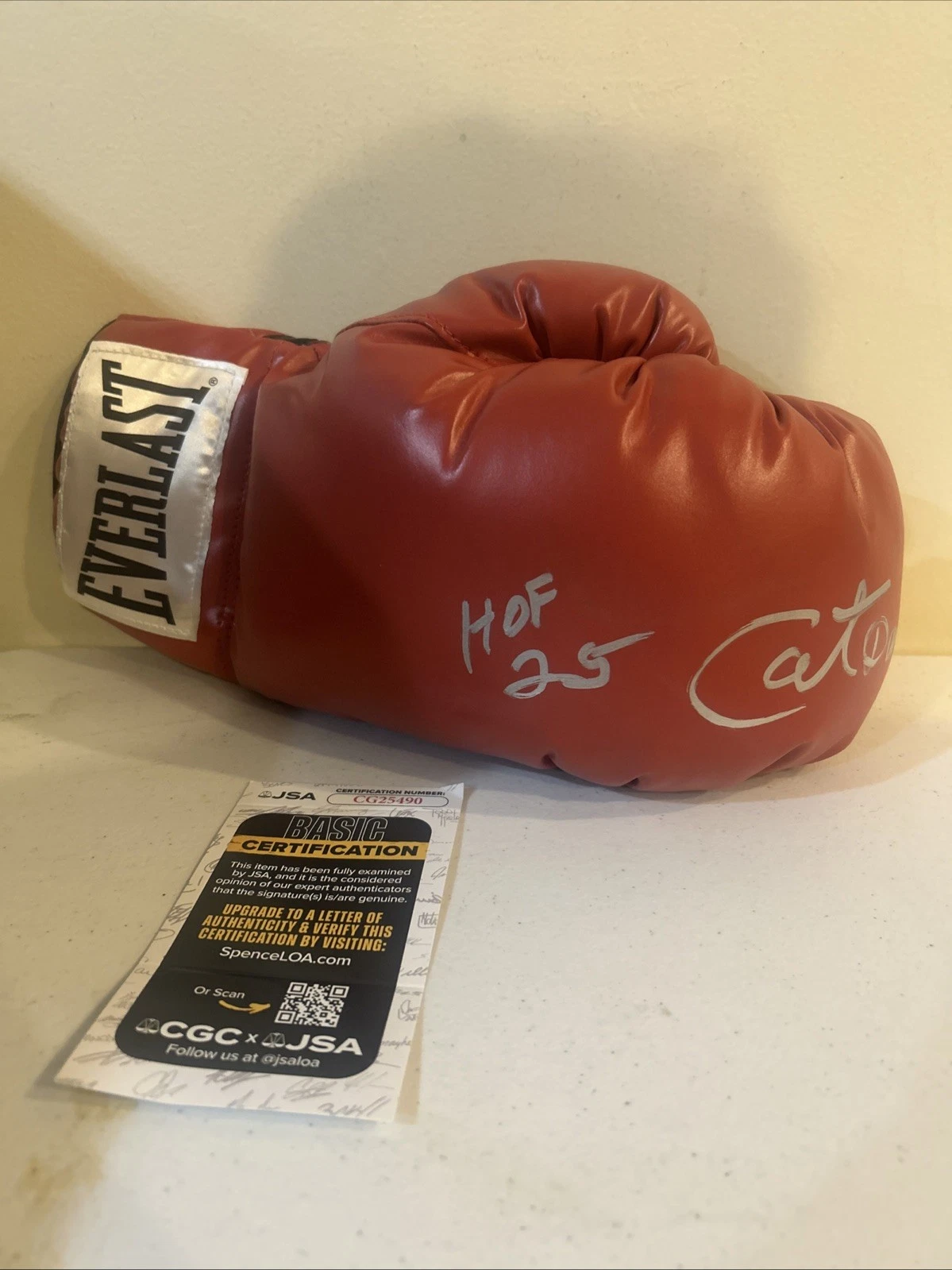 CATHY CAT DAVIS SIGNED AUTOGRAPH EVERLAST BOXING GLOVE JSA COA HOF BOXER RARE