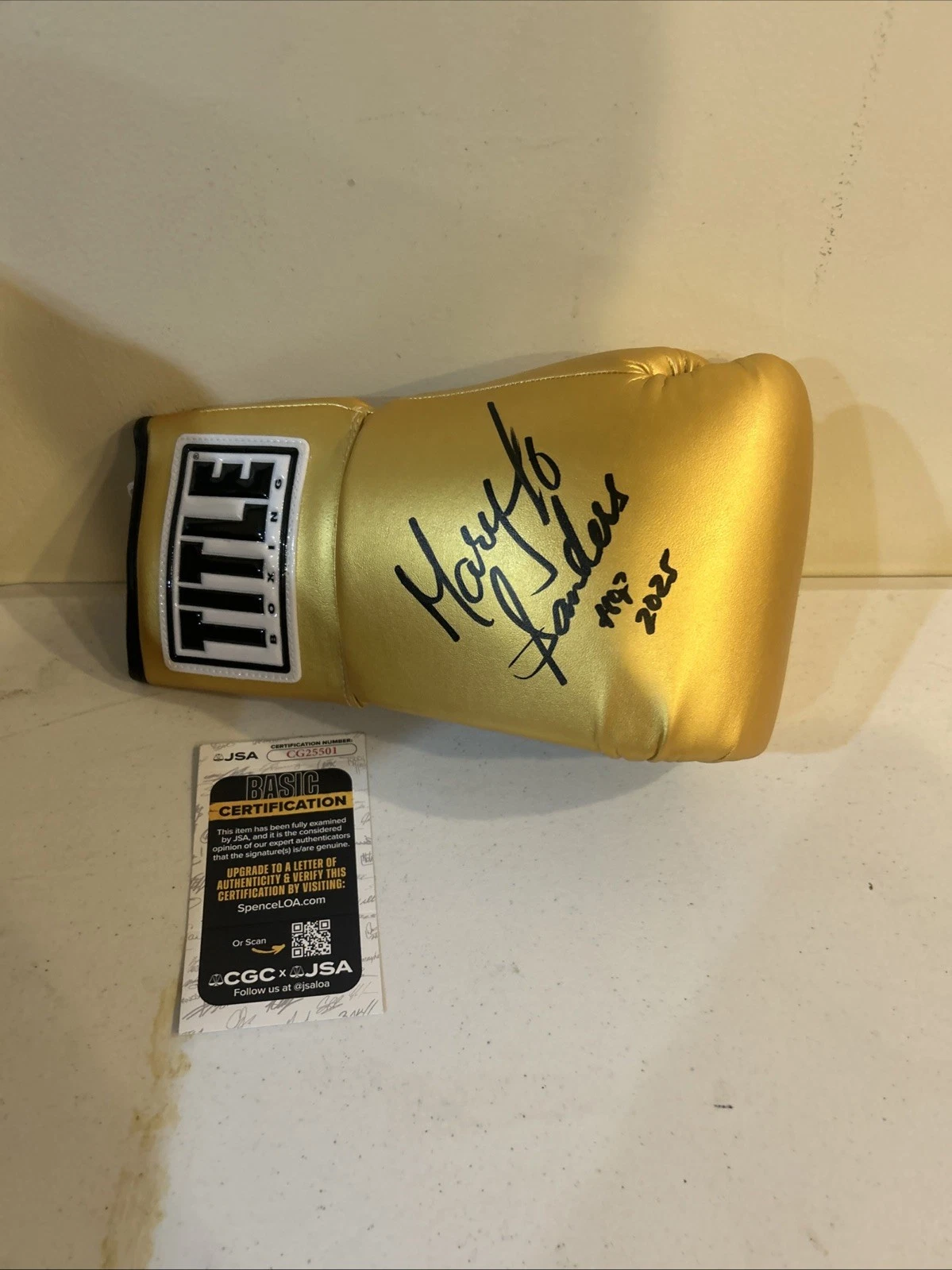 MARY JO SANDERS SIGNED AUTOGRAPH BOXING GLOVE JSA COA HOF BOXER CHAMPION