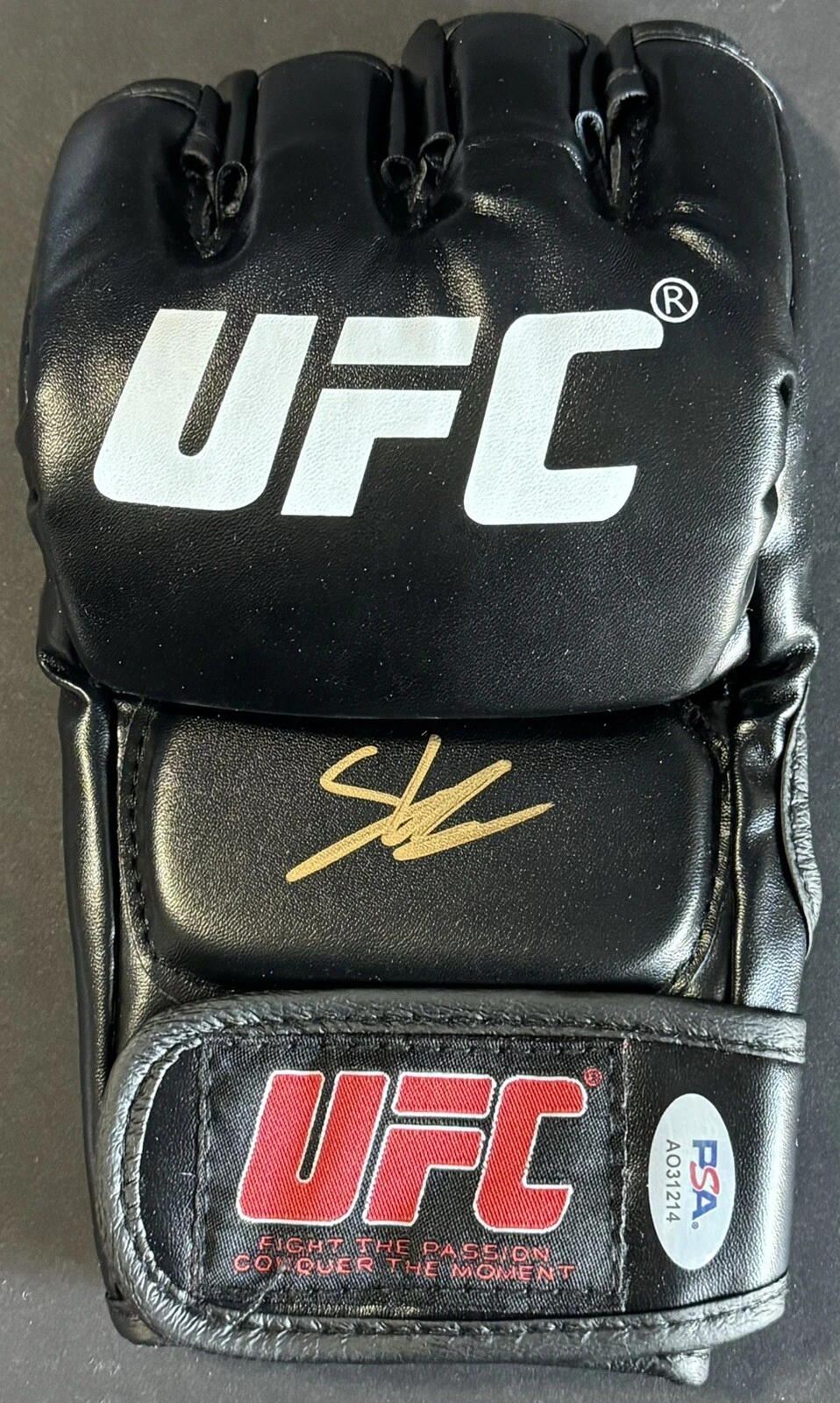 Sean Brady Signed Autographed UFC Fight Glove PSA/DNA COA
