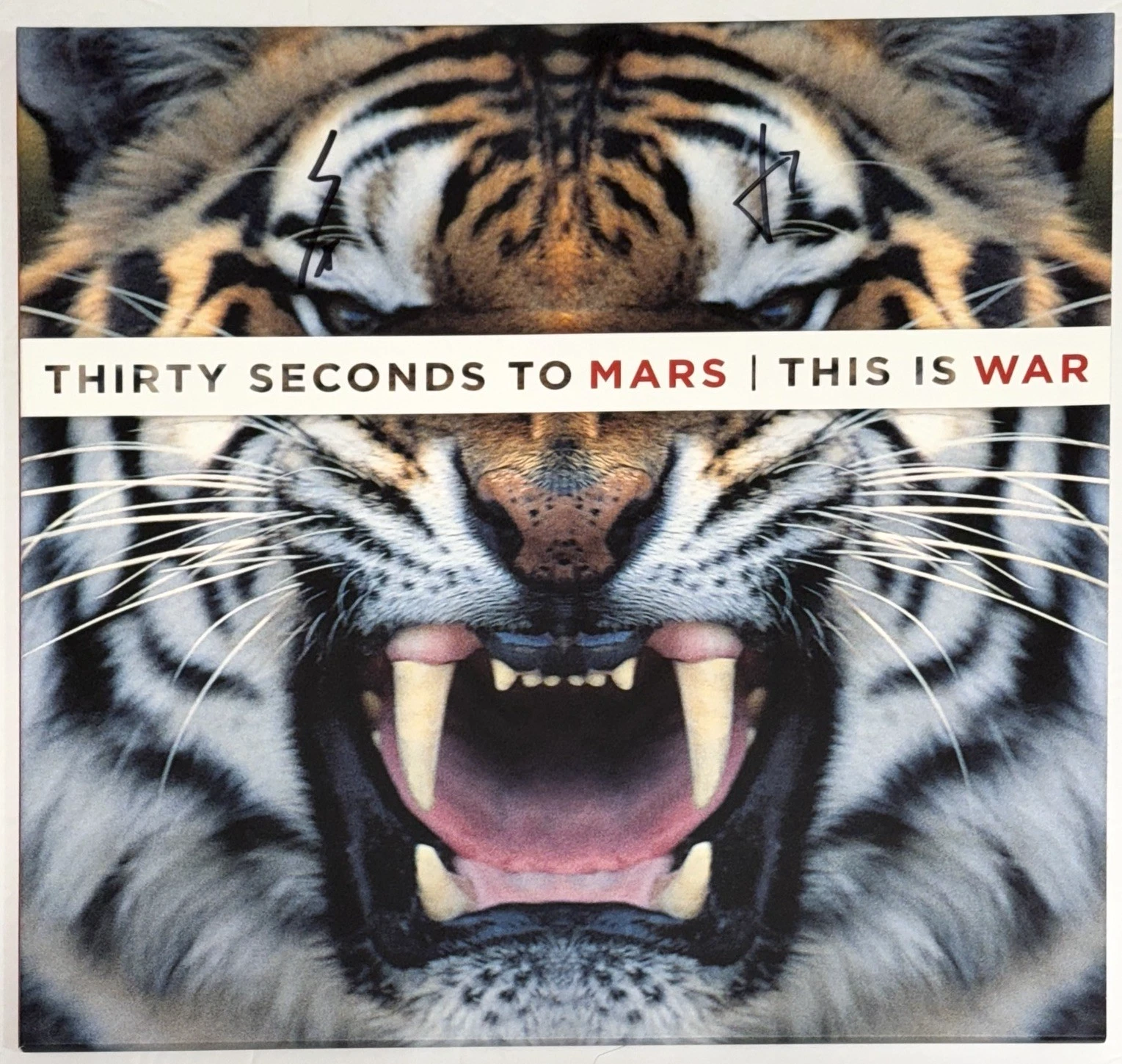 Thirty Seconds To Mars Signed This Is War Vinyl Album LP Jared Leto Beckett COA