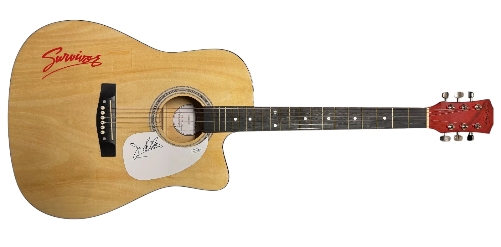 Jim Peterik Signed Survivor Eye of The Tiger 41