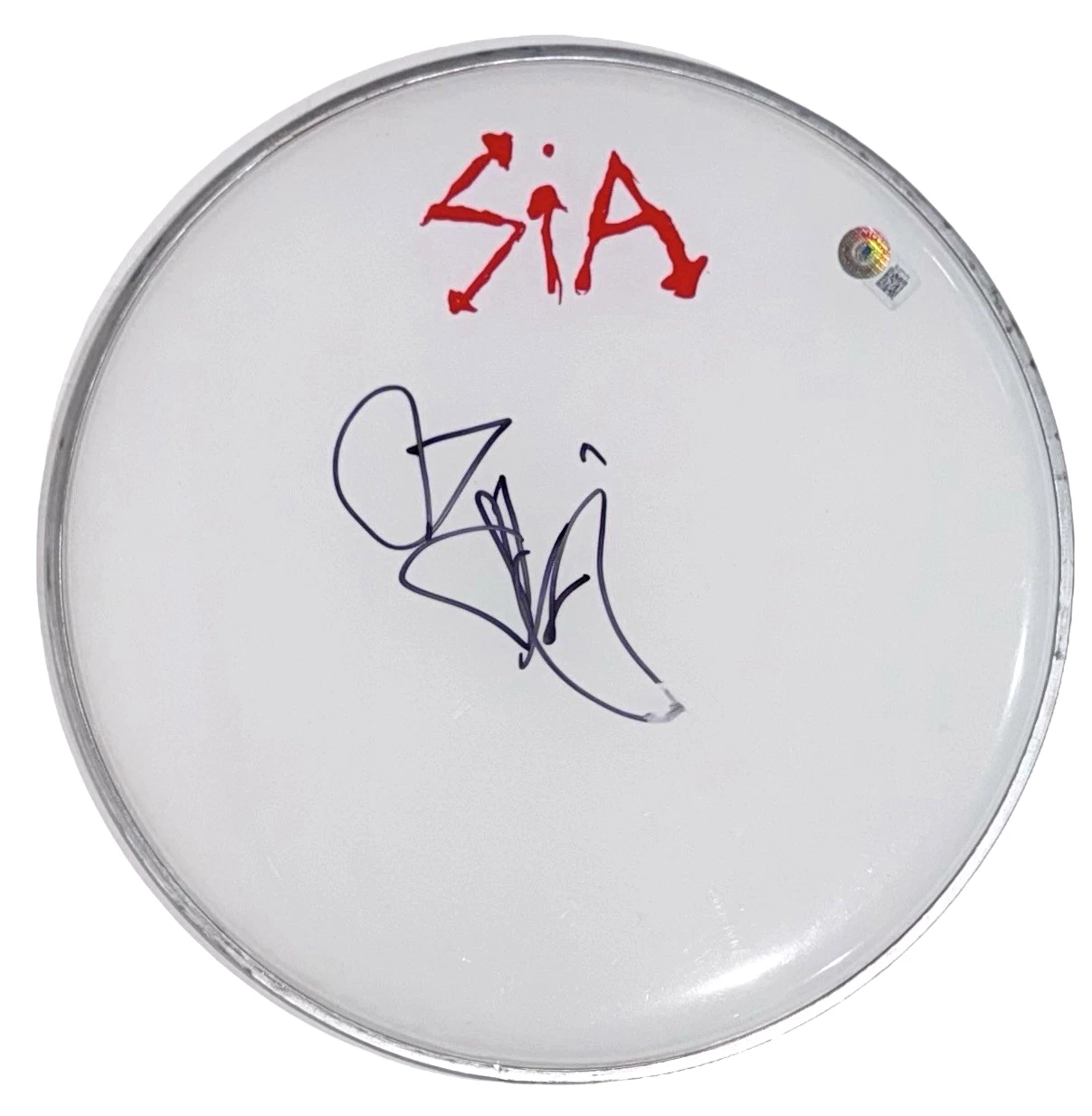 SIA SIGNED AUTOGRAPH 12″ DRUMHEAD  1000 FORMS OF FEAR SINGER FURLER BECKETT COA COLLECTIBLE MEMORABILIA