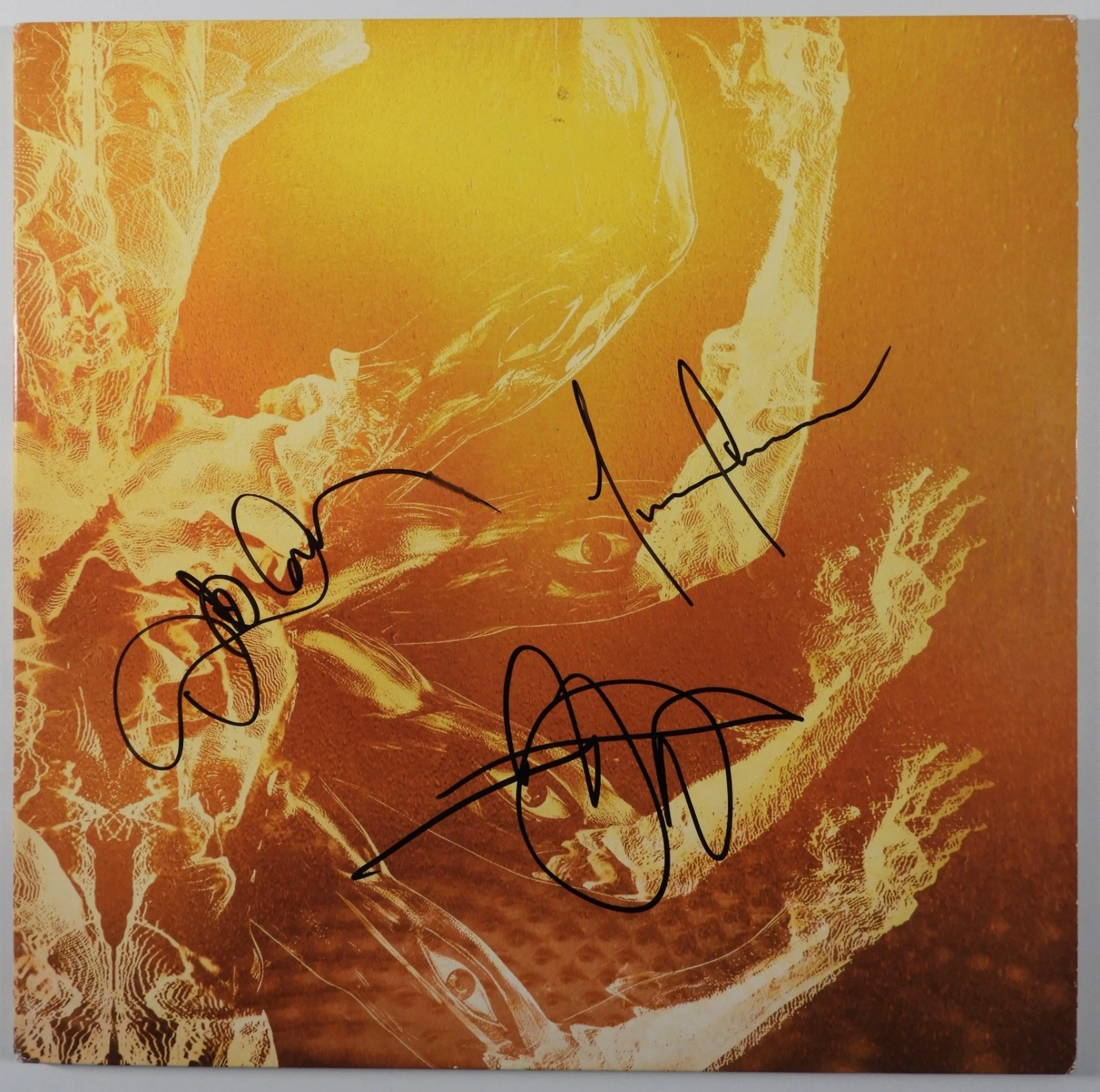 Tool ACOA Signed Autograph Record Vinyl Album Adam Jones +