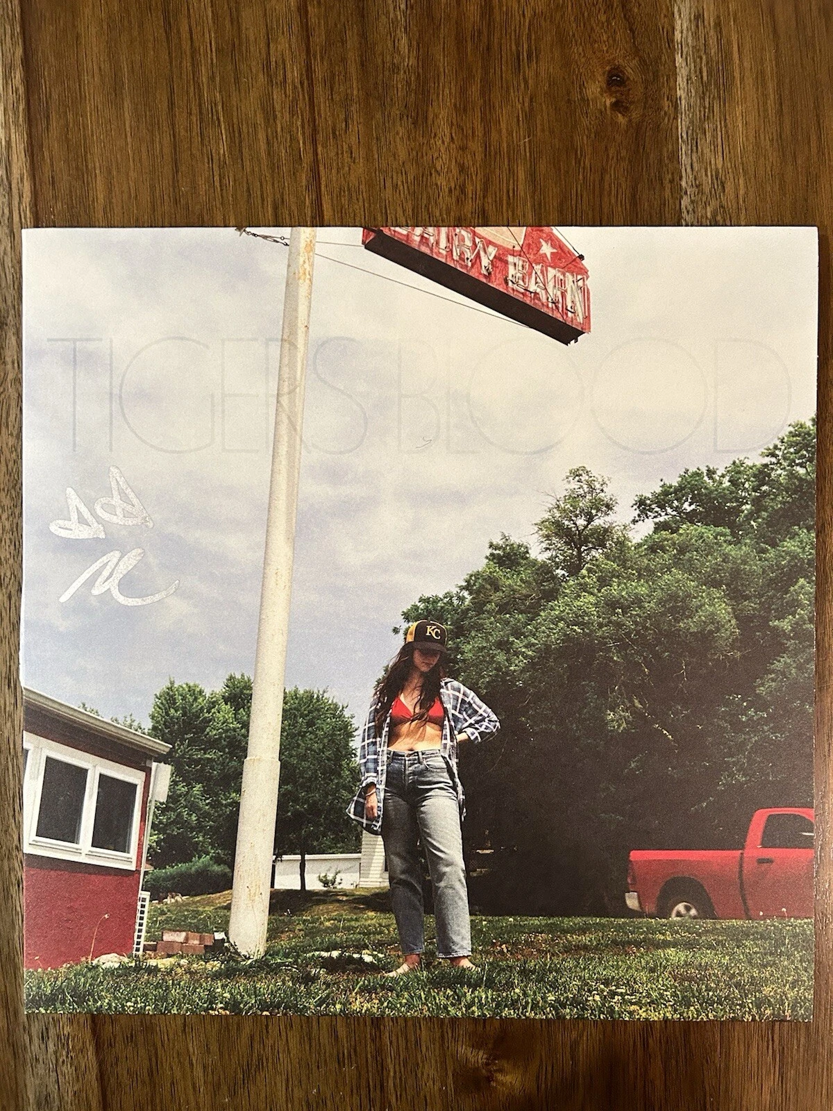 ‘Waxahatchee’ Indie Singer Signed Vinyl Album ‘Tigers Blood’ PROOF