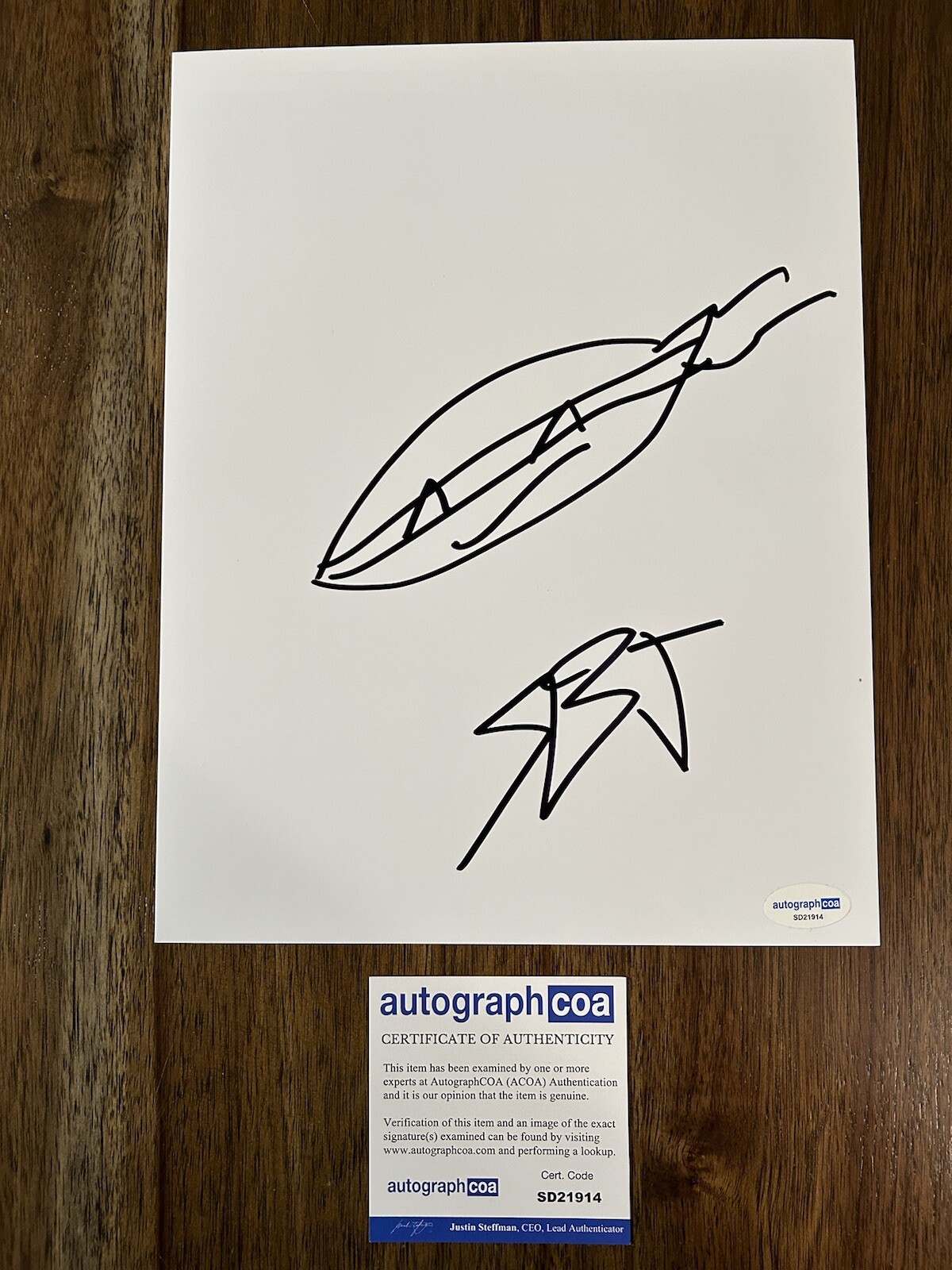 Shamon Brown Jr. ‘Teenage Mutant Ninja Turtles’ Signed Sketch ACOA TMNT