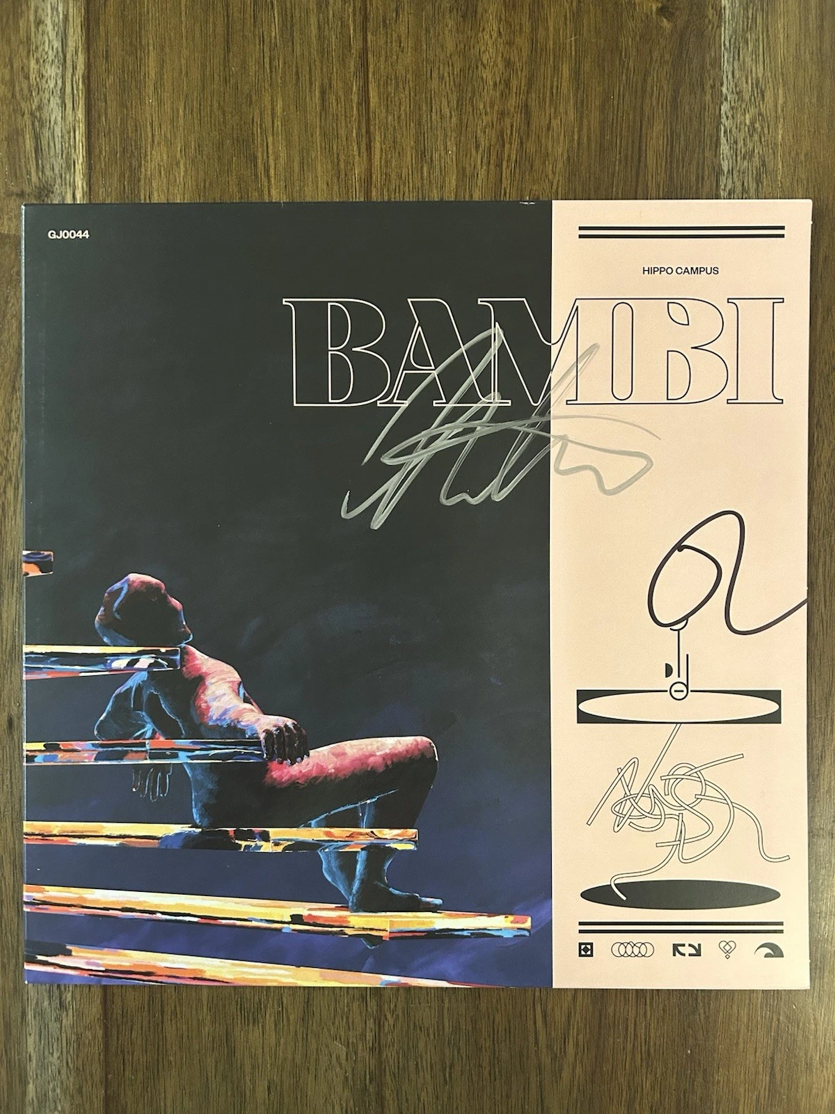 ‘Hippo Campus’ Indie Band Signed Vinyl Album ‘Bambi’ Jake Luppen & Nathan
