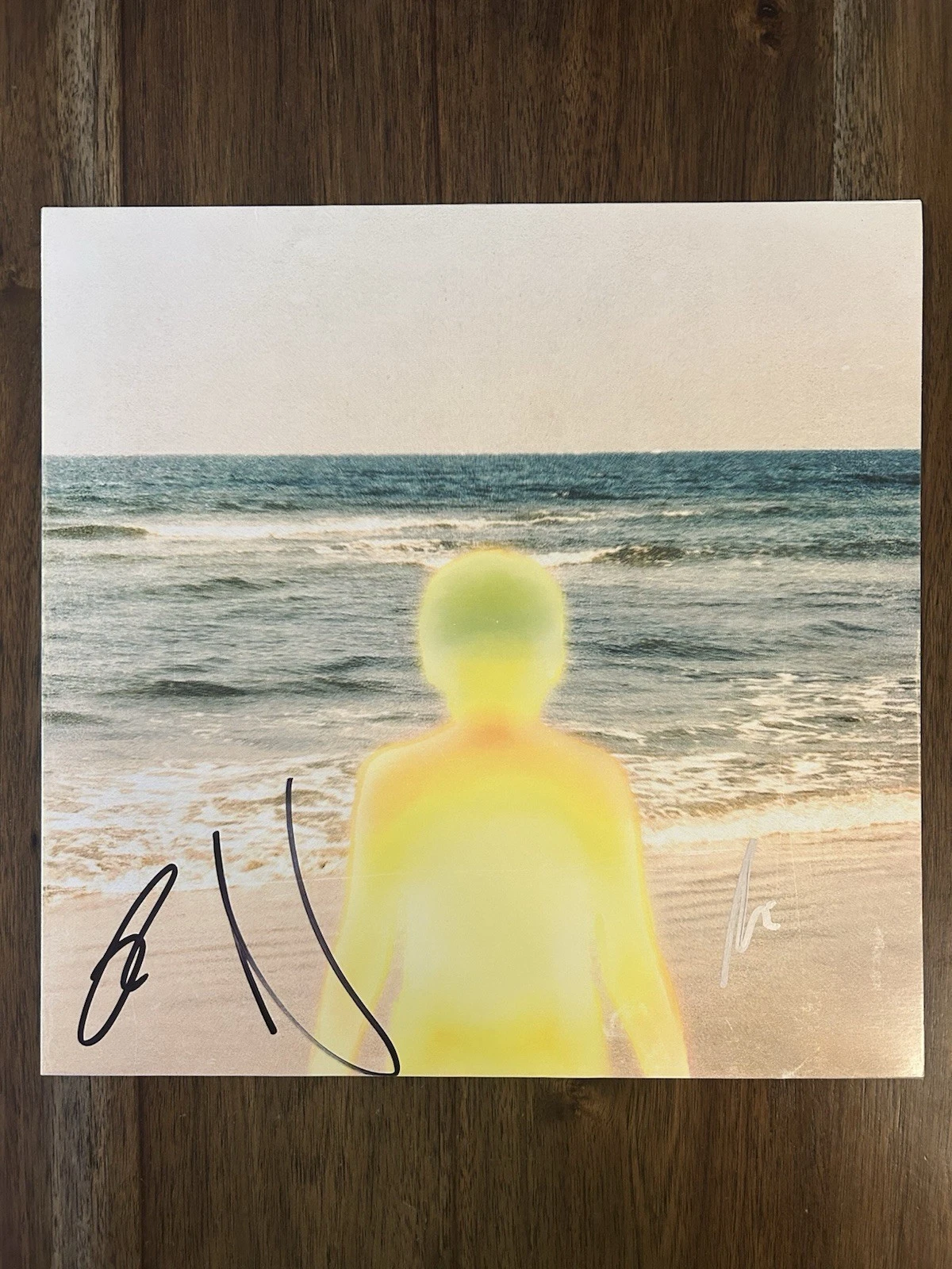 ‘Beach Weather’ Indie Pop Band Signed Vinyl Album Pineapple Sunrise Nick Santino