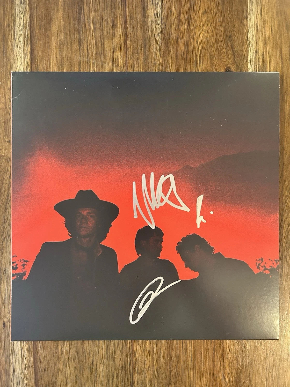 ‘Beach Weather’ Indie Pop Band Signed Vinyl Album ‘Melt’ Nick Santino +2