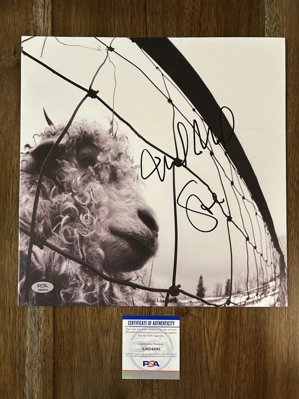 Stone Gossard & Mike McCready Pearl Jam Signed Autograph ‘Vs.’ Vinyl PSA Album