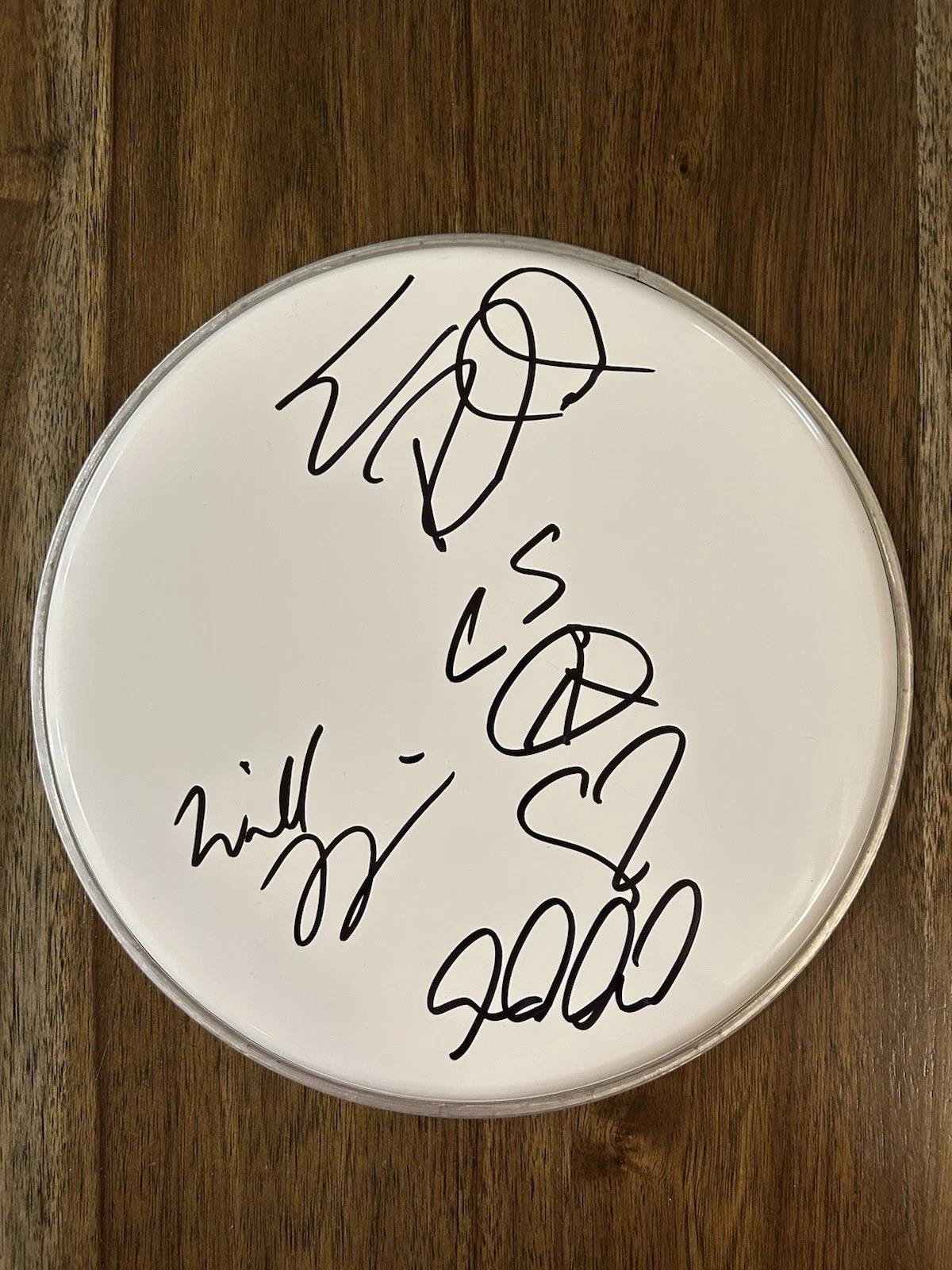 ‘COLLECTIVE SOUL’ BAND SIGNED 10” WHITE DRUMHEAD ED ROLAND, DEAN & WILL COLLECTIBLE MEMORABILIA