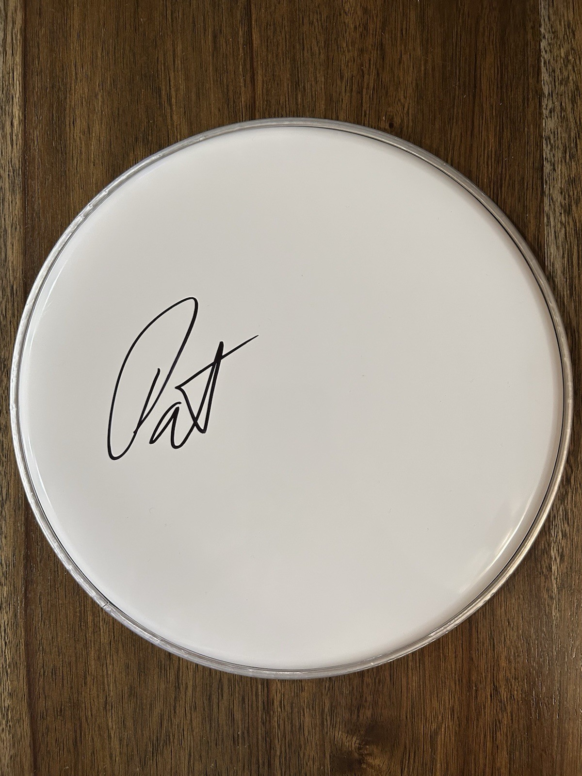 Patrick Wilson ‘Weezer’ Drummer Band Signed 10” Drumhead Pat