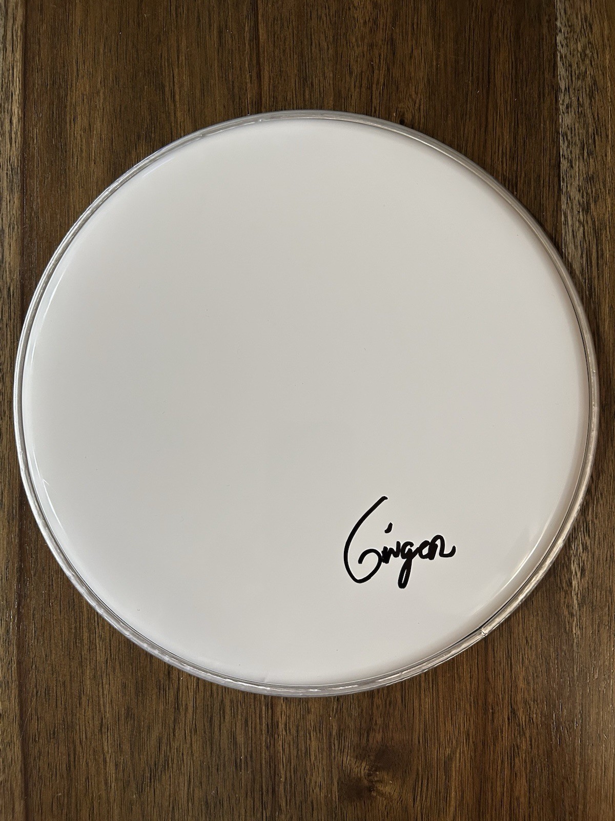 Ginger Fish ‘Rob Zombie’ Marilyn Manson Drummer Signed Autograph 10” Drumhead