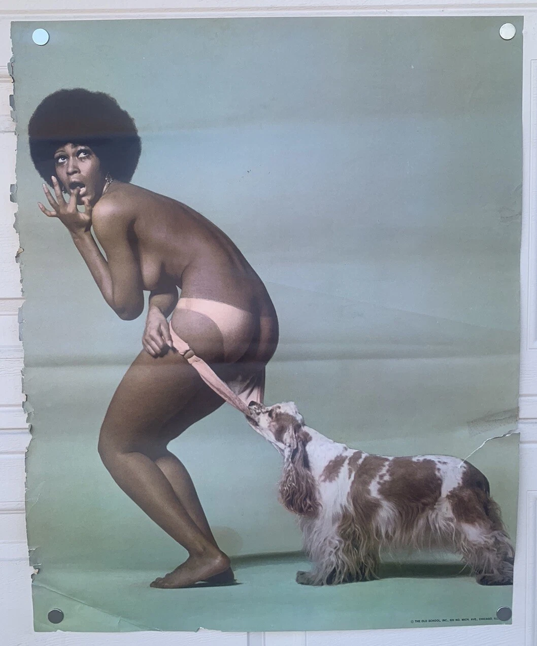 Dog Pulling Pants Off The Old School Black Power 1970's 24