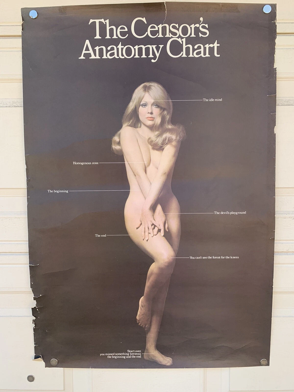 The Censors Anatomy Chart Sexy Vintage 1960's 24