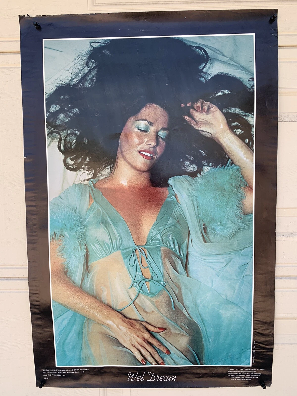 Wet Dreams Edy Williams #315 1977 ORIGINAL 23