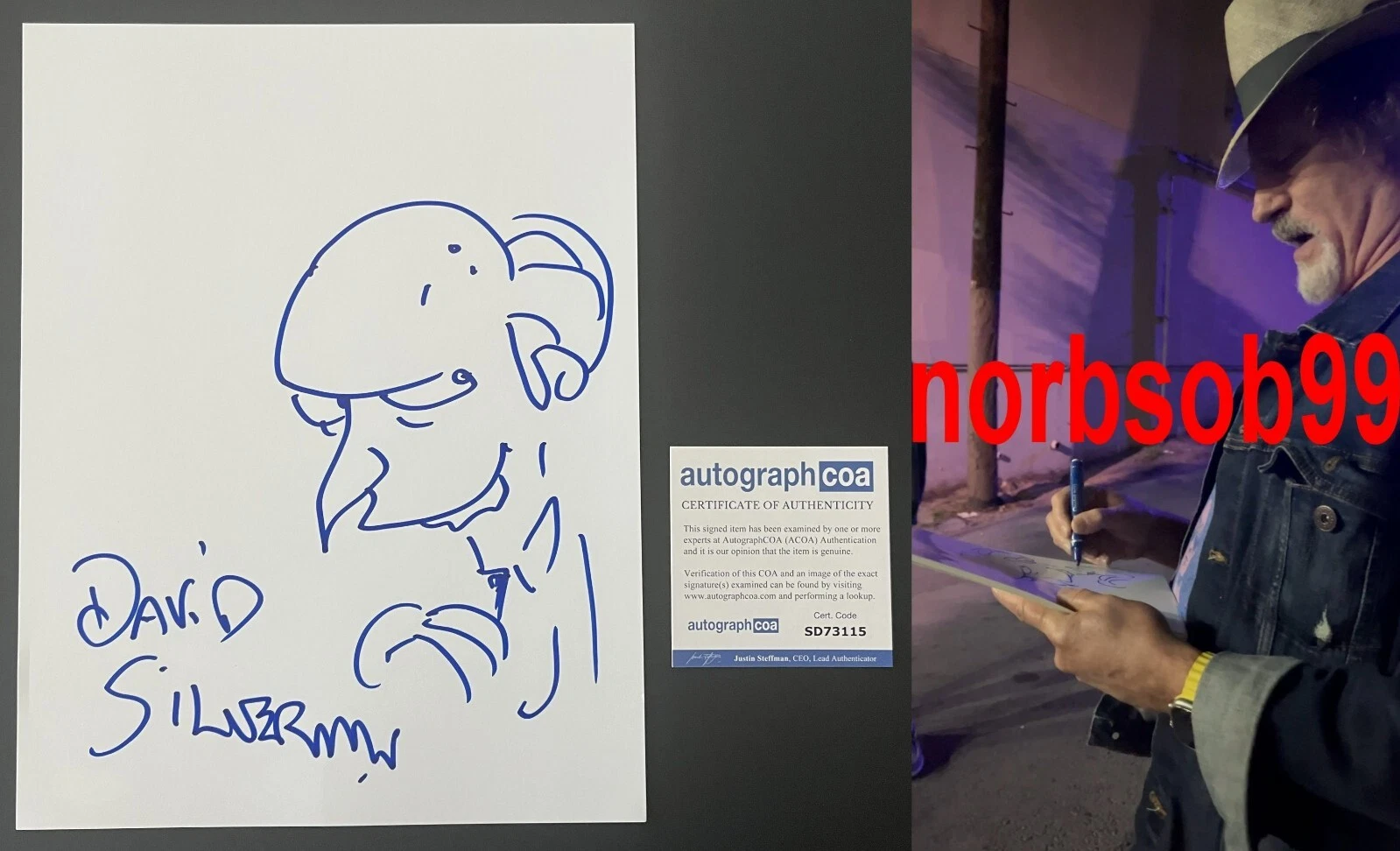 DAVID SILVERMAN SIGNED THE SIMPSONS SKETCH A w/EXACT PROOF & AUTOGRAPH COA ACOA