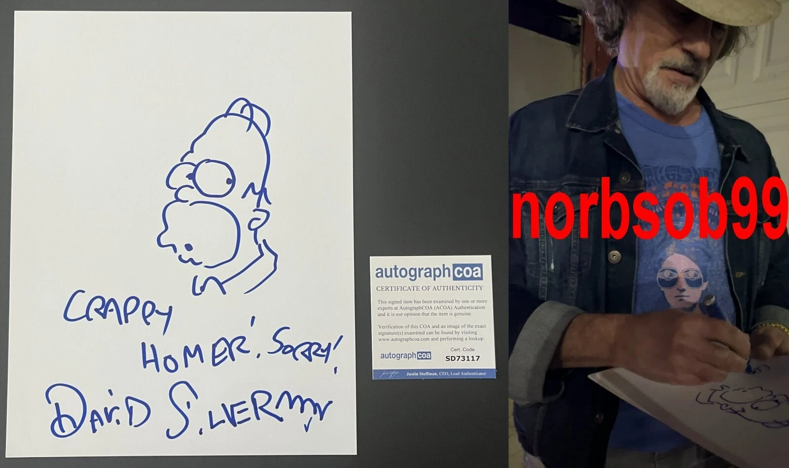 DAVID SILVERMAN SIGNED THE SIMPSONS SKETCH C w/EXACT PROOF & AUTOGRAPH COA ACOA