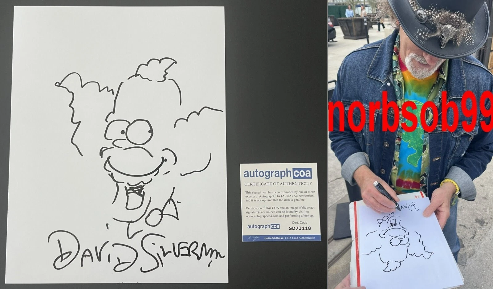 DAVID SILVERMAN SIGNED THE SIMPSONS SKETCH D w/EXACT PROOF & AUTOGRAPH COA ACOA