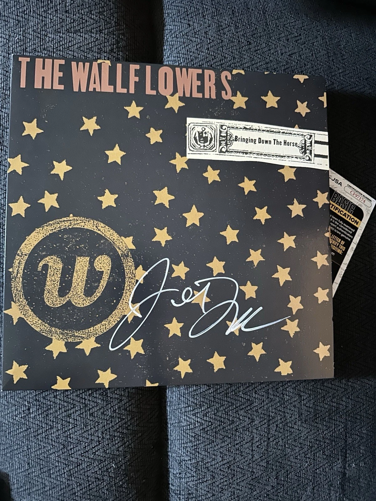 Jakob Dylan SIGNED Vinyl ALBUM JSA Authenticated COA Bringing Down The Horse '96