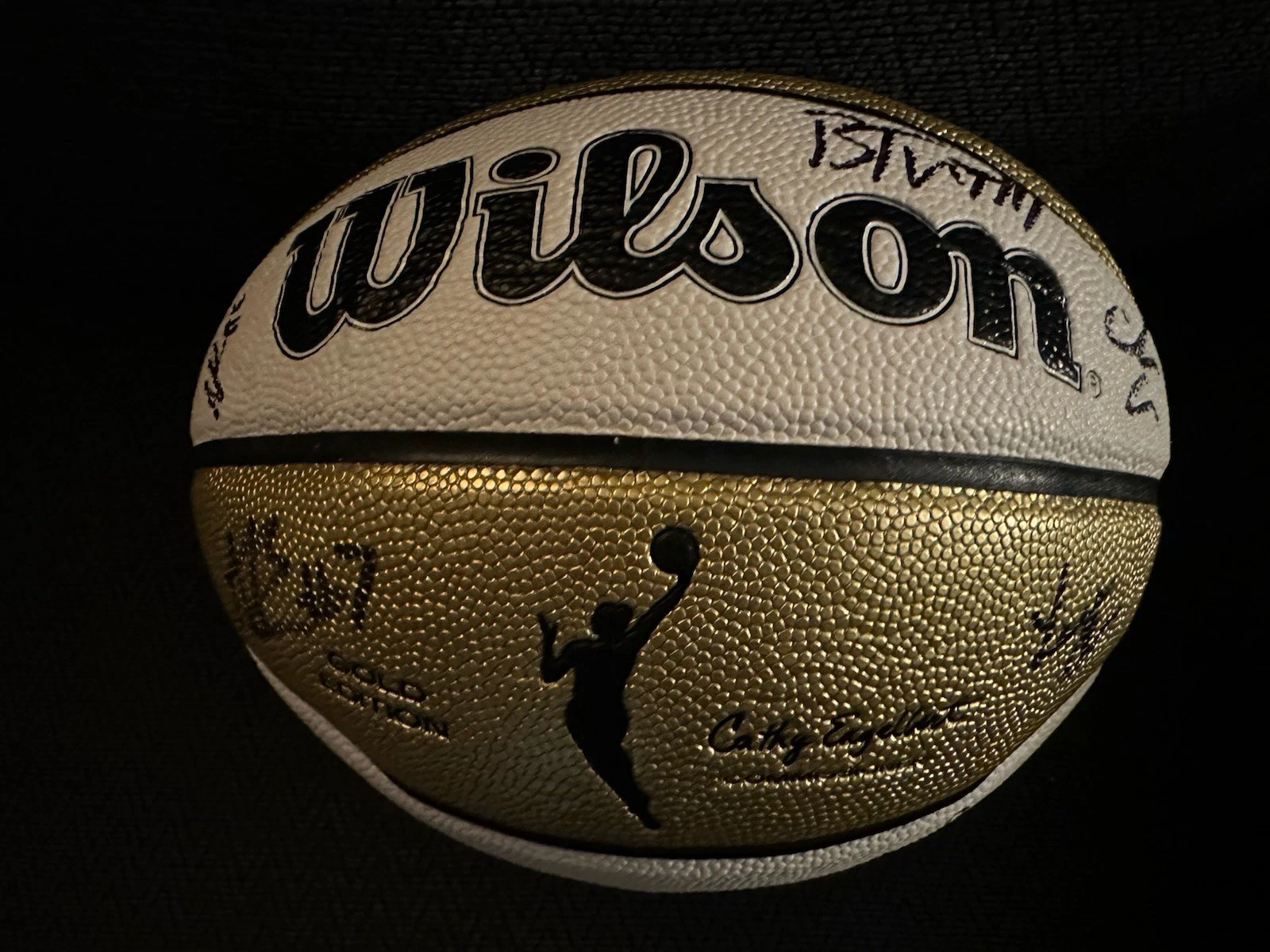 Caitlin Clark & Indiana Fever Team Signed WNBA Basketball 2025 Lexie Hull 8 Tot.
