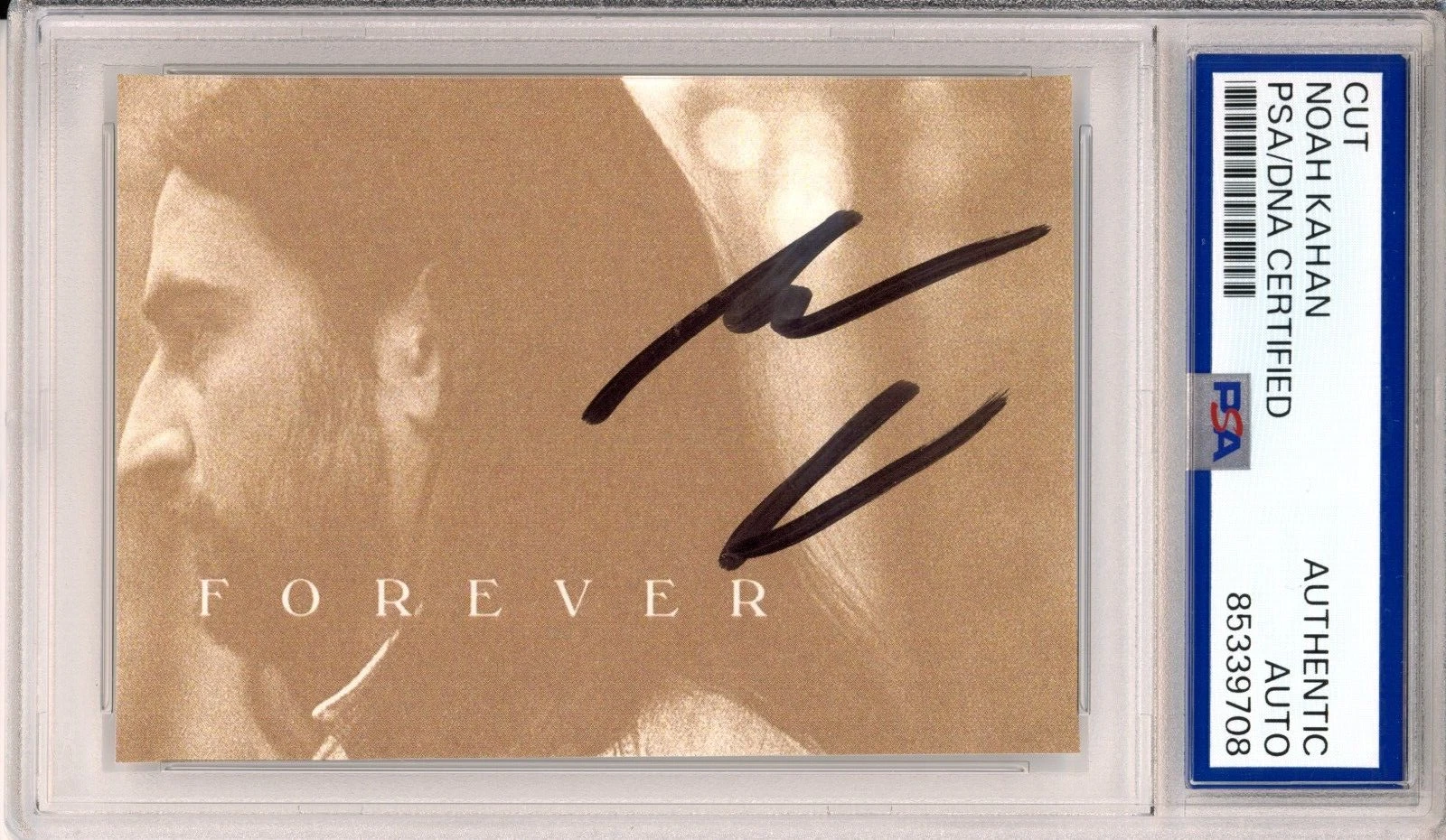 SIGNED Noah Kahan Stick Season Forever Album Cover Cut PSA DNA COA Autographed