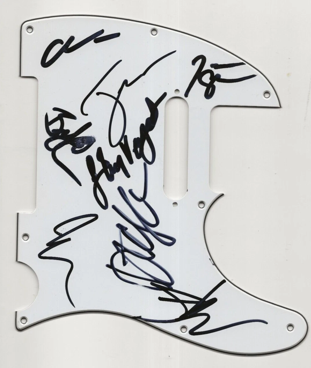 Mighty Mighty Bosstones REAL hand SIGNED Guitar Pickguard COA Autographed