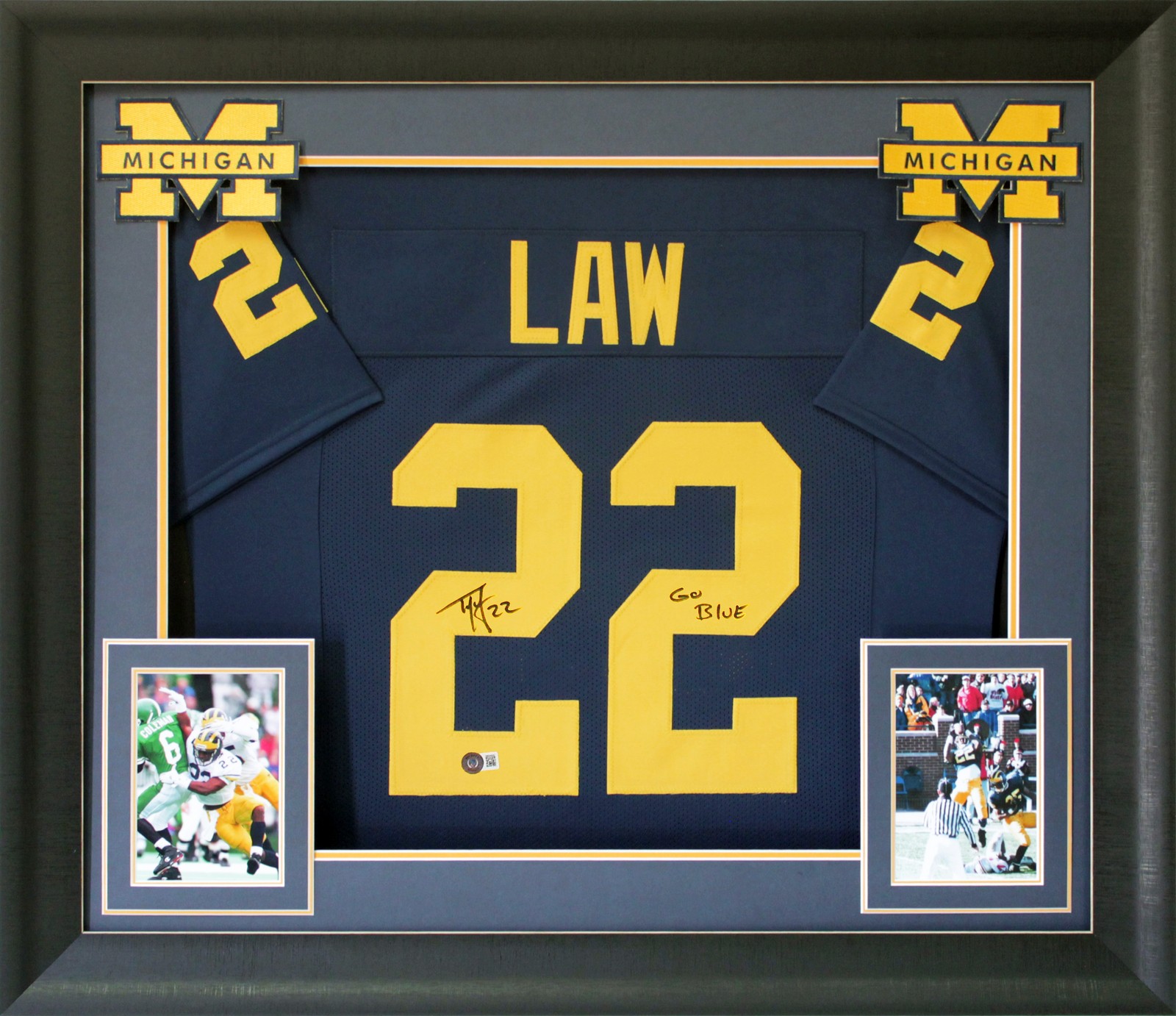 Michigan Ty Law 