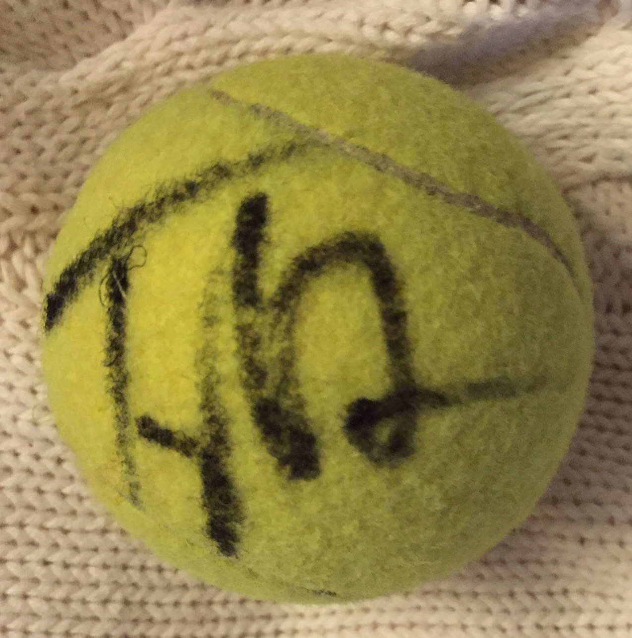 Taylor Dent Signed Tennis Ball