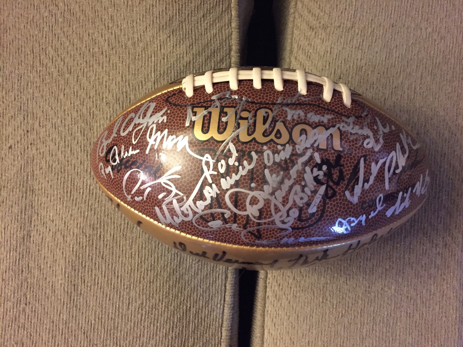 45 NFL Head Coaches Signed Football Gibbs Levy Tomlin Dungy Cowher Holmgren Etc!