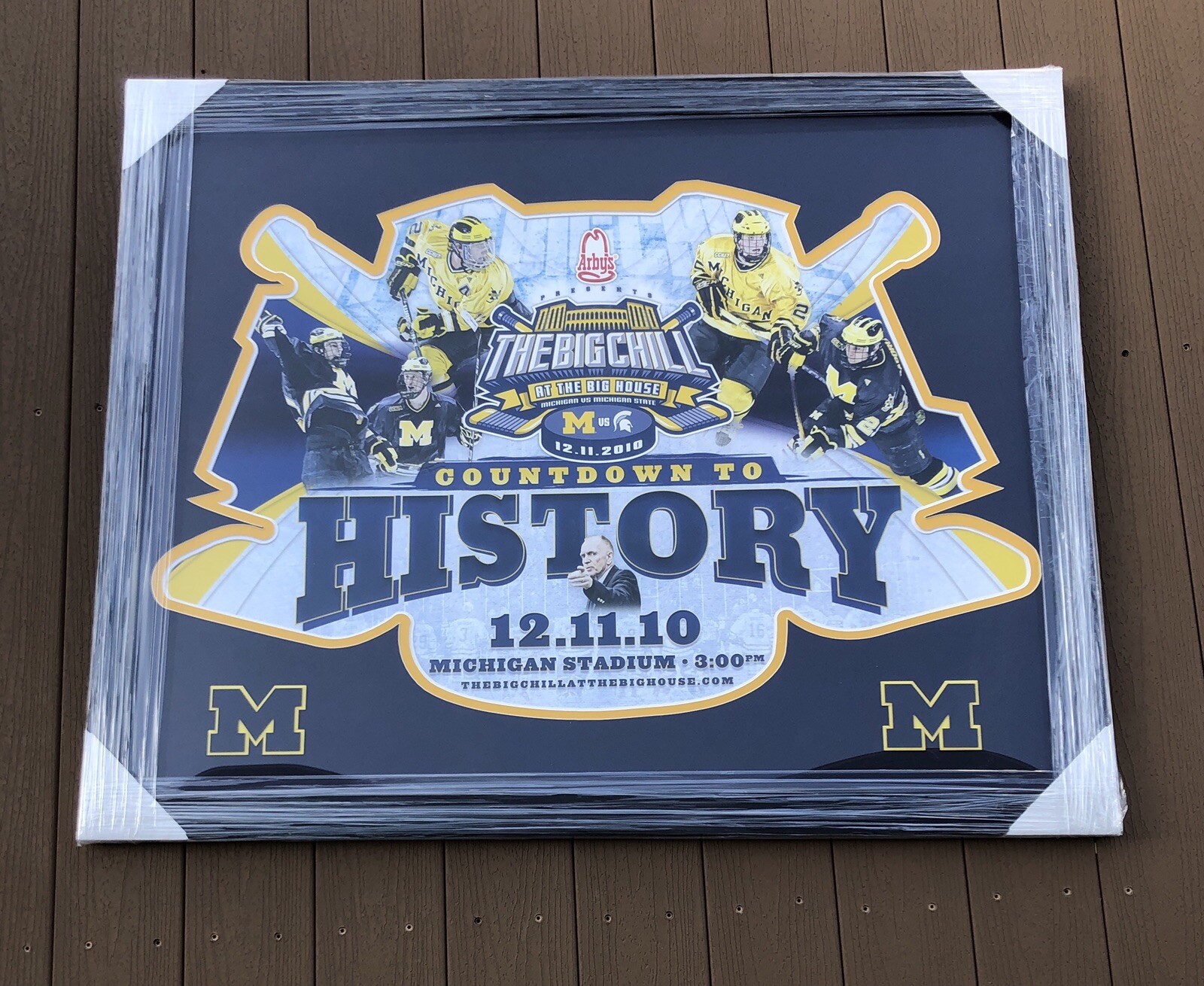 Michigan Wolverines Hockey Big Chill At The Big House 2010 35x43 Framed Poster