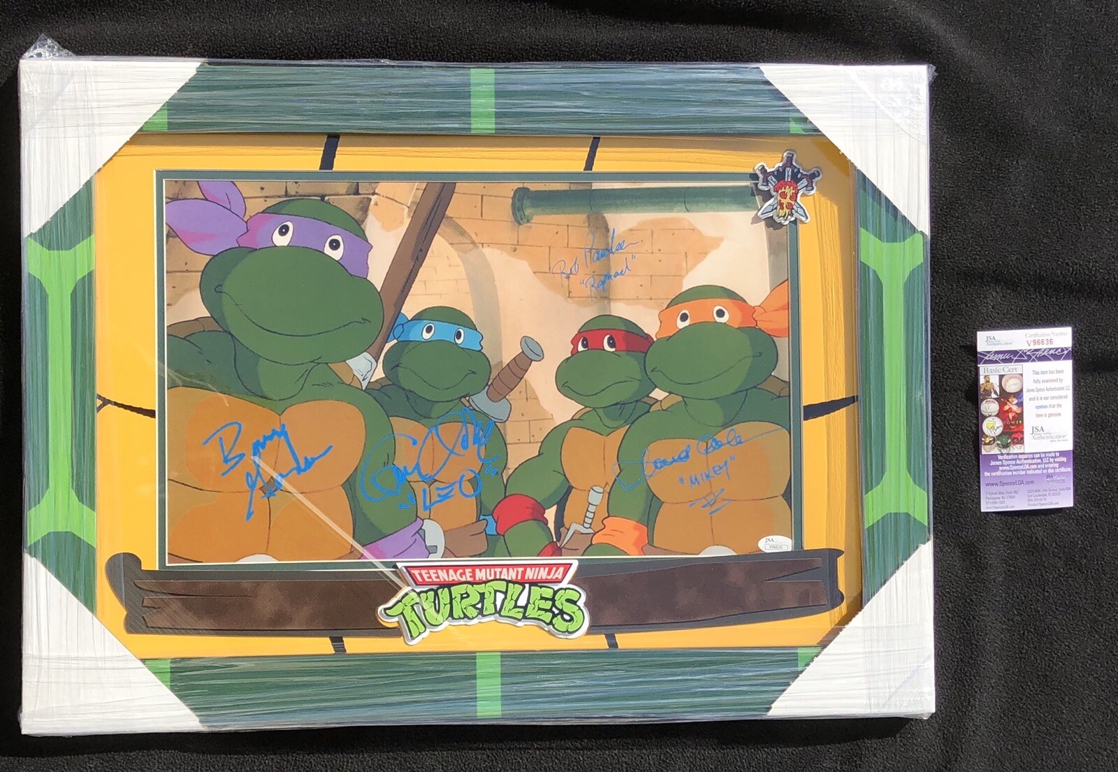 Ninja Turtles Cartoon Cast Signed 17.5x24 Custom Shell Framed Photo JSA COA