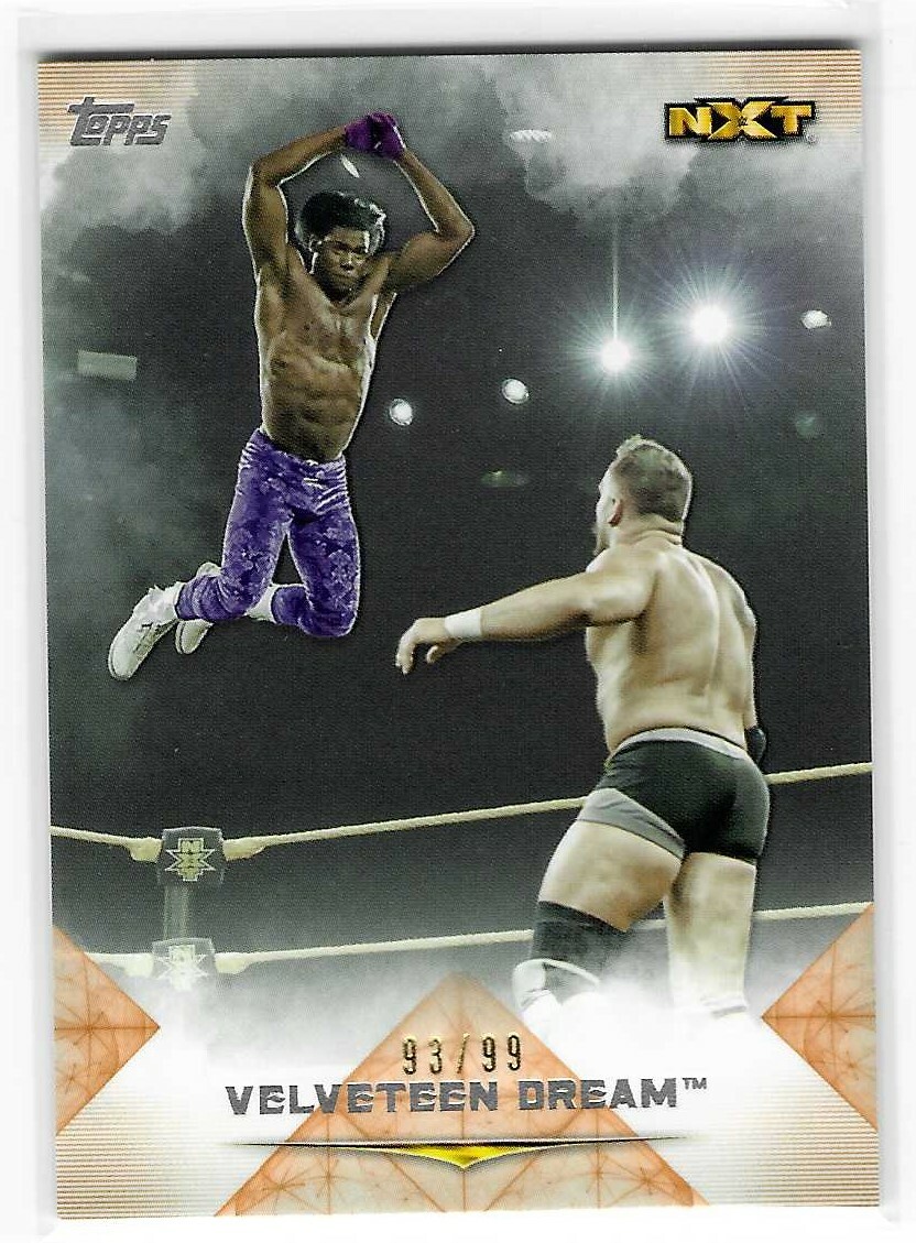 Velveteen Dream 2020 Topps Undisputed WWE NXT Orange Card #74 93/99