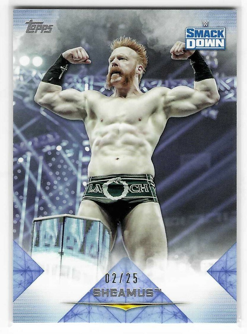 Sheamus 2020 Topps Undisputed WWE Smack Down Blue Card #48 02/25