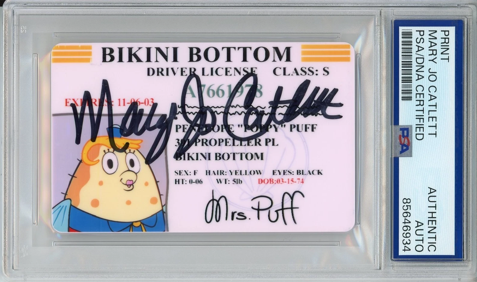 SPONGEBOB SQUAREPANTS MRS PUFF DRIVERS LICENSE SIGNED by MARY JO CATLETT PSA DNA