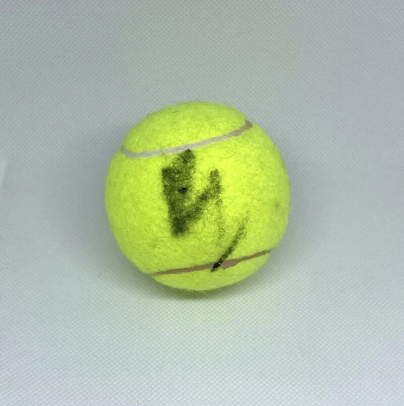 DONALD YOUNG SIGNED AUTOGRAPH TENNIS BALL - AMERICAN STAR, VERY RARE!