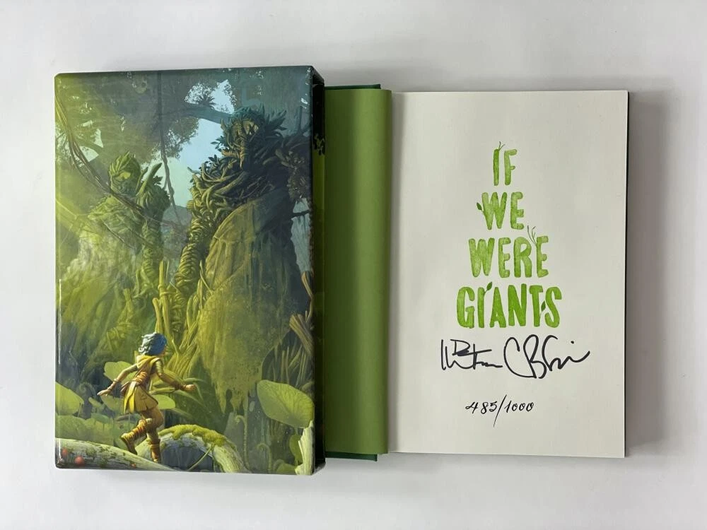 DAVE MATTHEWS SIGNED AUTOGRAPH 